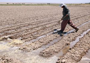 آب باید بین کشاورزان و صنایع نیشکر به طور مساوی تقسیم شود