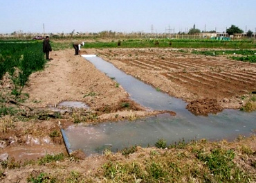 بدون اینکه به معیشت کشاورز توجه کنند می خواهند کشت را ممنوع کنند / آب باید عادلانه بین کشاورزان و شرکت های نیشکری تقسیم شود