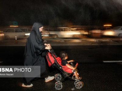 ایمن سازی مزرها برای تردد زائران حسینی انجام شد