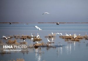 تکمیل پروژه بامدژ تا پایان سال جاری