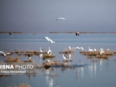 تکمیل پروژه بامدژ تا پایان سال جاری