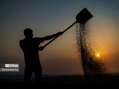 در خوزستان بیشترین ضربه از آلاینده های صنعتی و نفتی به بخش کشاورزی است