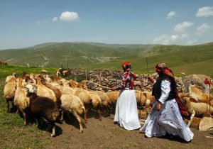 توزیع ۱۸۴ پنل خورشیدی بین عشایر دزفول