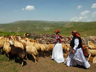 توزیع ۱۸۴ پنل خورشیدی بین عشایر دزفول