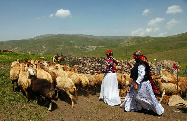 توزیع ۱۸۴ پنل خورشیدی بین عشایر دزفول