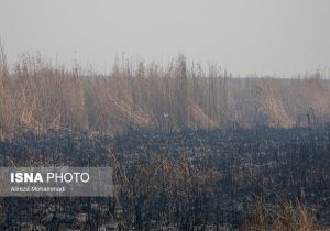 دود هورالعظیم تا پایان آبان ادامه دارد