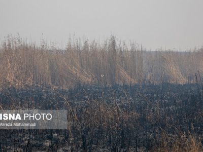 دود هورالعظیم تا پایان آبان ادامه دارد