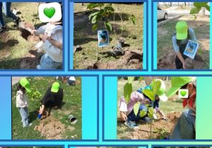 نهالکاری با دست های مهربان / از تجربه زیبای درختکاری تا هدیه فرزندان موسسه خیریه گلشن آل طاها به طبیعت