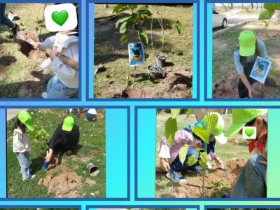 نهالکاری با دست های مهربان / از تجربه زیبای درختکاری تا هدیه فرزندان موسسه خیریه گلشن آل طاها به طبیعت