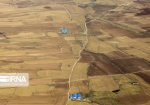 استفاده از گیاهان مقاوم به خشکی و کشت بین ردیفی بهترین راهکار برای فرسایش خاک