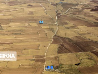 استفاده از گیاهان مقاوم به خشکی و کشت بین ردیفی بهترین راهکار برای فرسایش خاک