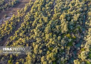 برنامه های اجرایی و عملیاتی با هدف حفظ و نگهداشت منطقه حفاظت شده ی دز