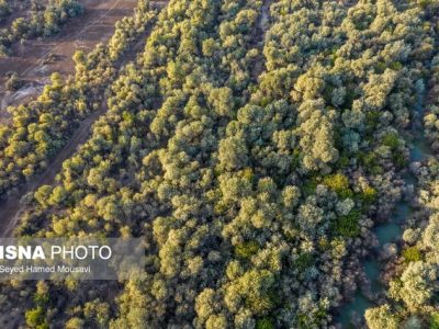 برنامه های اجرایی و عملیاتی با هدف حفظ و نگهداشت منطقه حفاظت شده ی دز