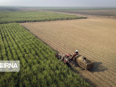 ایجاد بیش از هشت هزار فرصت شغلی در استان با بهره برداری طرح های کشاورزی