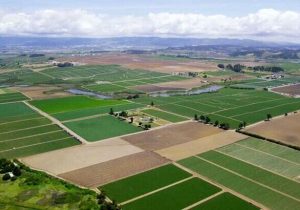 بهره برداری ۱۷۹ طرح در بخش کشاورزی /۲۵ درصد اشتغال خوزستان در بخش کشاورزی است