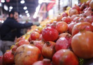 برپایی۸۳ غرفه ی توزیع میوه در سراسر استان از اواخر اسفند تا نیمه ی نخست فروردین