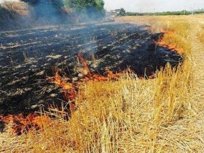 سوزاندن بقایای کشاورزی موجب انتشار گاز های گلخانه ای و بروز مشکل برای ساکنین مناطق اطراف می شود