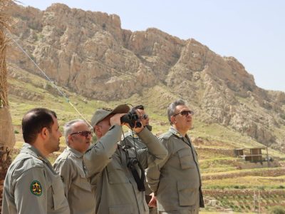 برنامه های حفاظتی در زیستگاه های حفاظت شده در زمان زادآوری باید بیشتر شود