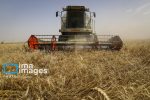 ضرورت همکاری بین بخش خصوصی و دولتی در راستای رسیدن به هدف های کلان در حوزه کشاورزی