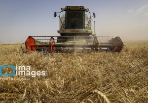 ضرورت همکاری بین بخش خصوصی و دولتی در راستای رسیدن به هدف های کلان در حوزه کشاورزی