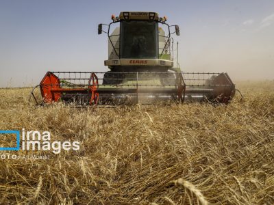ضرورت همکاری بین بخش خصوصی و دولتی در راستای رسیدن به هدف های کلان در حوزه کشاورزی