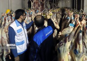 شناسایی و ضبط بیش از ۱۹۵ کیلوگرم فرآورده خام دامی ناسالم در مواکب